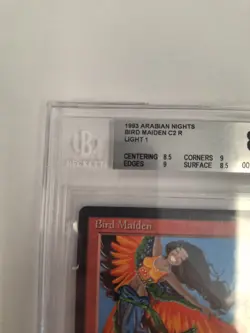 Magic The Gathering Arabian Nights Bird Maiden BGS 8.5. Edges 9. Corners 9 - Image 2