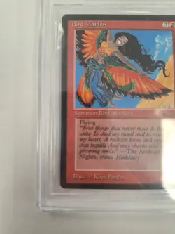 Magic The Gathering Arabian Nights Bird Maiden BGS 8.5. Edges 9. Corners 9 - Image 4