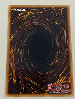 Yugioh - Blue Eyes Toon Dragon - 1st Edition LP - Plus Free Holographic Card - Image 2