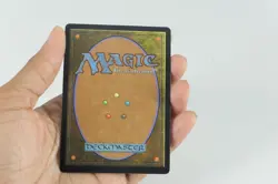 MTG Strixhaven - Beledros Witherbloom - Borderless Japanese - Image 4