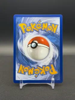 Turtwig - 040 040 Holo Promo ME: Mega Evolution Promo Pokemon - Image 2