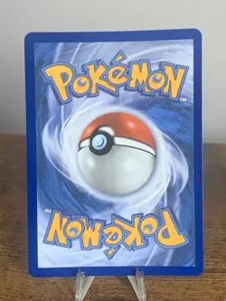 First Partner Illustration Squirtle Promo Full Art Holo 037 Pokemon TCG-Mint - Image 2