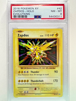 Pokemon - 2016 XY Evolutions Zapdos - Holo - #42 - PSA 8 - NM-MINT - Image 1