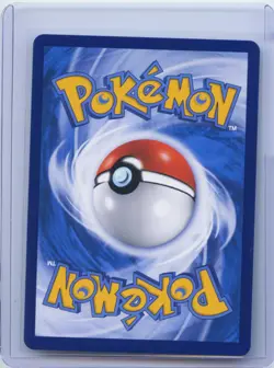 2023 Pokemon TCG S-CHN PROMO 081/S-P Friends in Alolan Holo NM - Image 2