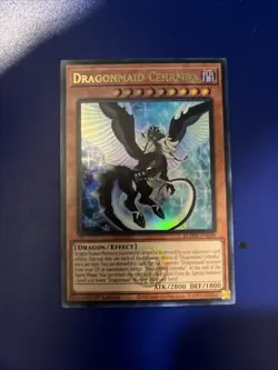 Dragonmaid Cehrmba BLMM-EN048 - Yugioh - Ultra Rare - 1st Ed - NM - Image 1