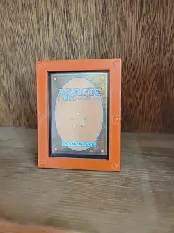 Ziatora's Proving Ground MTG Streets of New Capenna Rare Land NM-M x1 - Image 2