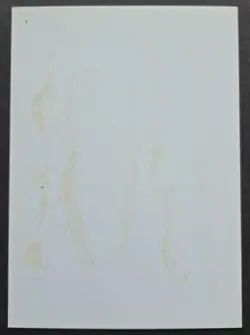 SIGNED MtG Magic Maddocks _ Beta CE _ Artist Proof _ IRONCLAW ORCS _ Glued 1/50! - Image 4