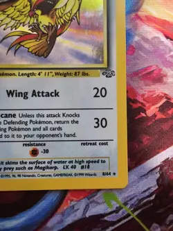PIDGEOT JUNGLE HOLO RARE 08/64 VINTAGE POKEMON TCG UNLIMITED LP - Image 4