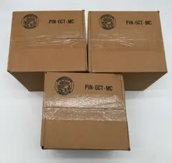 Pokemon TCG 2022 Boltund V SHOWCASE Box CASE (6 Boxes) SEALED Lot of (3) - Image 2