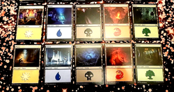 GirlGames - MTG DSK LAND SET NM - DUSKMOURN 10 OF EACH BASIC LAND + DECK BOX - Image 2