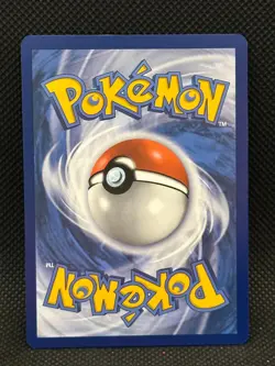 Pokemon - Galarian Moltres - Holo - SWSH284 Sword & Shield Promo - Image 3
