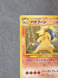Typhlosion No 157 Holo Rare (2000) Neo Genesis (Gold, Silver, New World) Pokemon - Image 3