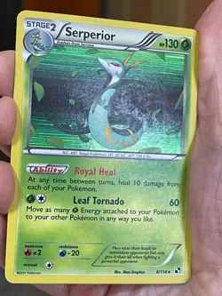 POKEMON SERPERIOR 6/114 RARE HOLOFOIL BLACK & WHITE MP CARD - Image 3