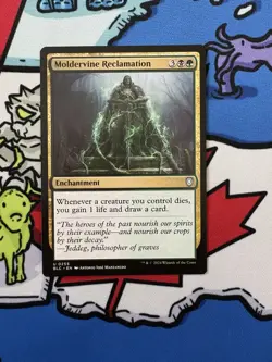 Moldervine Reclamation x1 Mtg Bloomburrow Commander - Image 1