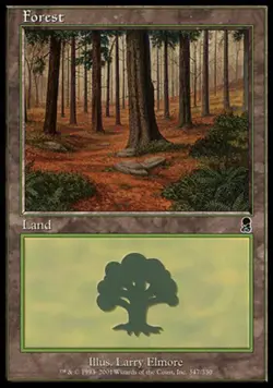 Forest (347) - Foil HP, English MTG Odyssey - Image 1