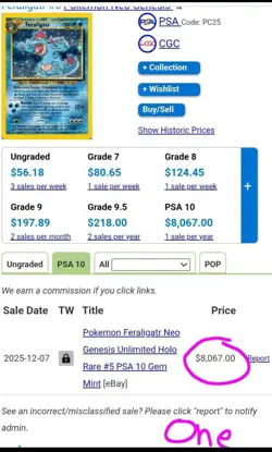 Feraligatr 5/111 GRADED 10 NEAR MINT PGC very rare holo pokemon card. super rare - Image 4