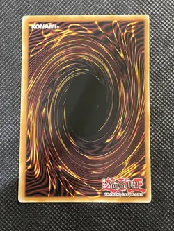 Yu-Gi-Oh! - The Lady in Wight GLD5-EN022 Common Limited Edition Near Mint - Image 2