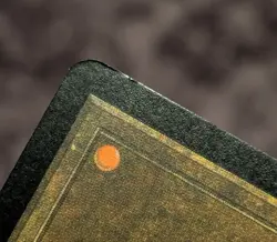 MTG Misprint BLANK CARD White Face Black Border Rare Error Magic Card - Image 4