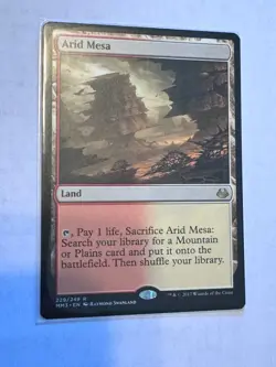 MTG: Arid Mesa Modern Masters - NM - Image 1