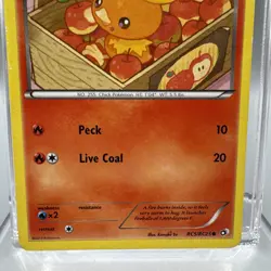 Torchic RC5/RC25 Holo Legendary Treasures: Radiant Collection Pokemon TCG MP - Image 3
