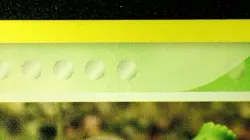 Ditto Bulbasaur 36/113 Nonholo Pokemon EX Delta Species 2005 Vintage LP/NM - Image 5