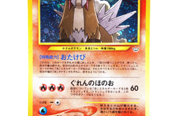 Pokemon TCG Entei Holo #244 Neo Revelation 2001 Japanese Vintage Pokemon Card - Image 5