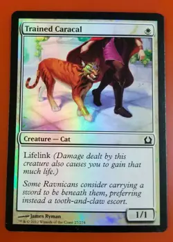 1x Trained Caracal | FOIL | Return to Ravnica | MTG Magic Cards - Image 1