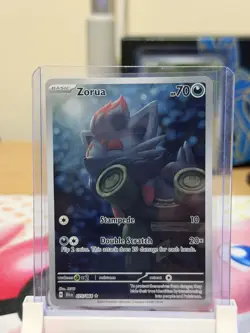 Pokemon TCG Zorua 075/064 Shrouded Fable Illustration Rare Holo - Image 1