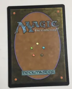 MTG Magic: The Gathering FOIL Windswept Heath Expedition ZNE! - Image 2