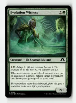 Evolution Witness Modern Horizons 3 Regular - Image 1