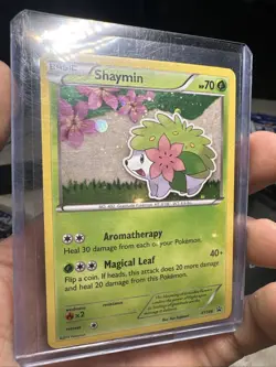 Shaymin - XY188 - Pokemon XY Promo Holo Rare Card MP AA59 - Image 1