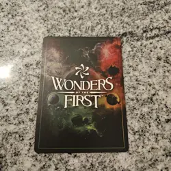 Wonders Of The First - Techsol 384/401 Primary Wonder - Image 2