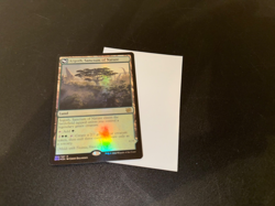 1 x FOIL ARGOTH, SANCTUM OF NATURE - Brother's War - MTG - Magic the Gathering - Image 1