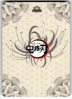 DS01-048 Demon Slayer Kimetsu no Yaiba Anime Collectible card - TANJIROU - SSR - Image 2