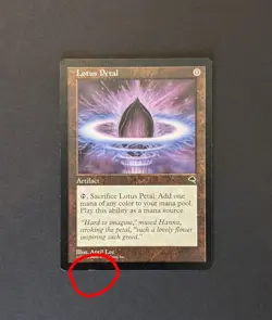 Lotus Petal - Tempest - MTG - Magic The Gathering - LP/MP (Edge Dent) April Lee - Image 5