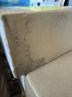 Pokemon TCG Mega Evolution Phantasmal Flames Booster Box SEALED CASE - Image 3