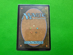 1x NM Foil Windswept Heath Zendikar Expedition MTG Magic the Gathering - Image 2