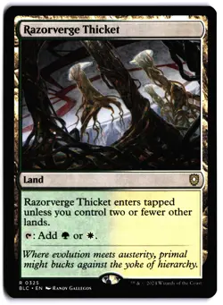 Razorverge Thicket NM BLC Commander: Bloomburrow MTG - Image 1