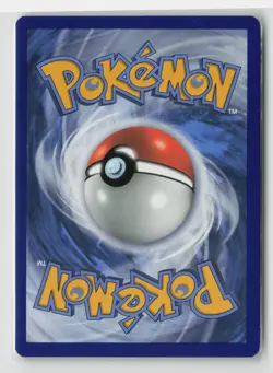 Litten - (Water Web Holo) Promo Miscellaneous Cards & Products 024/149 NM - Image 2