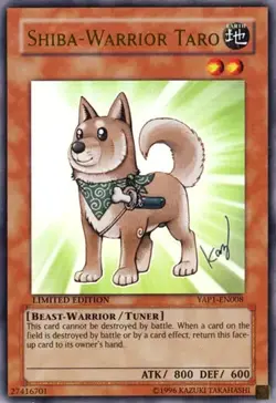 Yugioh! Shiba-Warrior Taro - YAP1-EN008 - Ultra Rare - Limited Edition MP - Image 1