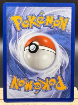 Turtwig 040 Illustration Rare First Partner Promo Pokemon TCG NM - Image 2