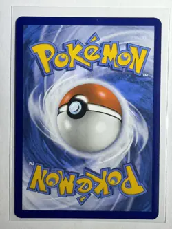 Pokemon TCG Kyogre Crown Zenith 036/159 Holo Rare & Kyogre 037/159 - NM/M - Image 5