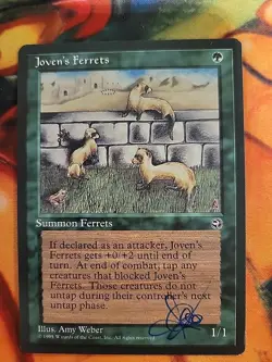 Joven's Ferrets - Homelands (HML) *signed - Amy Weber* - Image 1