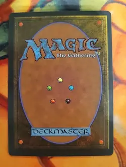 Joven's Ferrets - Homelands (HML) *signed - Amy Weber* - Image 3