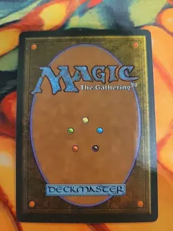 Ebony Rhino - Homelands (HML) *signed - Amy Weber* - Image 3