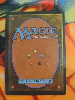 Leaping Lizard - Homelands (HML) *signed - Amy Weber* - Image 3