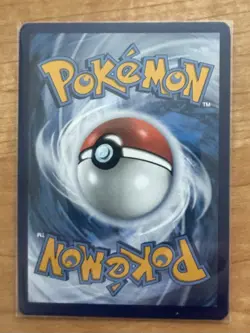 Pokemon TCG Raging Bolt 208/162 Temporal Forces Special Illustration Rare - Image 2