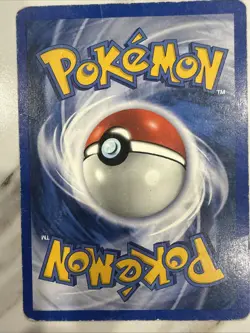 Pokemon TCG Bayleef Neo Genesis 1st Edition Uncommon Card 28/111 - Image 2