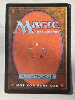 Magic MTG Oversized ADARKAR WASTES 6x9 Arena League * 1997 PROMO - Image 2