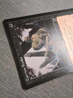 Carrion Feeder Scourge Zombie Regular 59/143 Magic The Gathering - Image 4